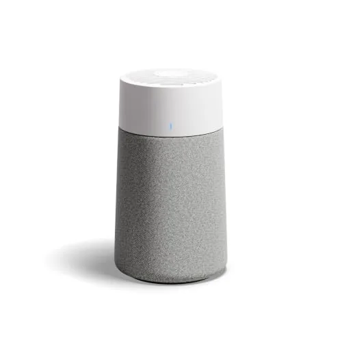 The Best Mini Air Purifier for Every Small Space