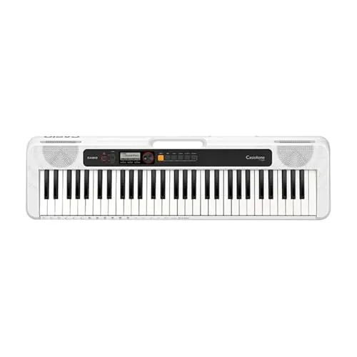 The Best Casio Keyboard for Every Player