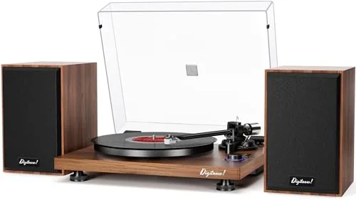 The Best Vinyl Turntable for Your Collection
