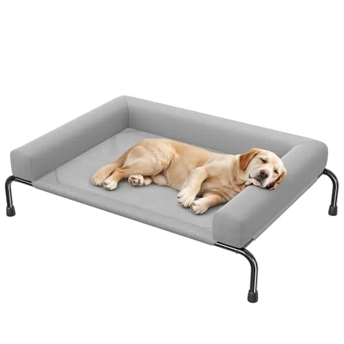 The Best Raised Dog Bed for Cooling and Comfort