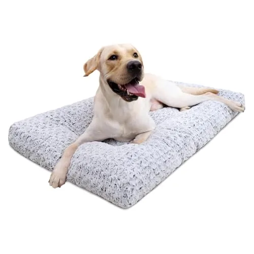 The Best Looking Dog Crate for Every Home