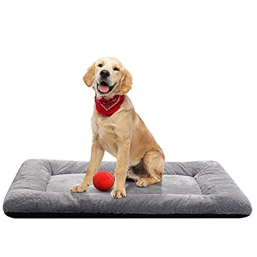 The Best Crate Bed for Large Dogs