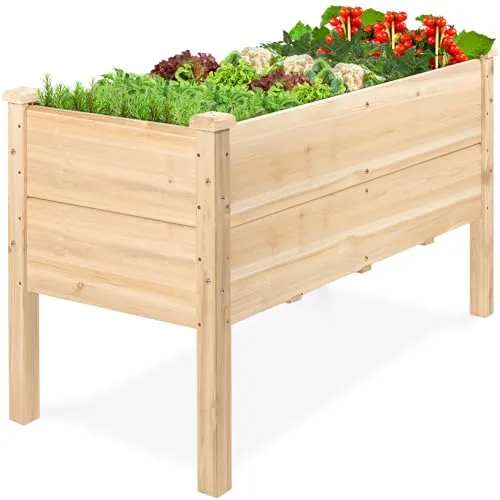 The Best Raised Garden Bed for Tomatoes