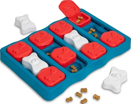 The Best Puzzle Toys for Dogs to Boost Mental Enrichment