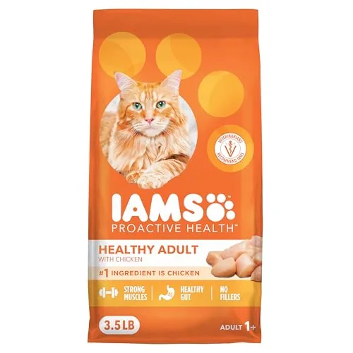 The Best Dry Cat Food for Weight Loss