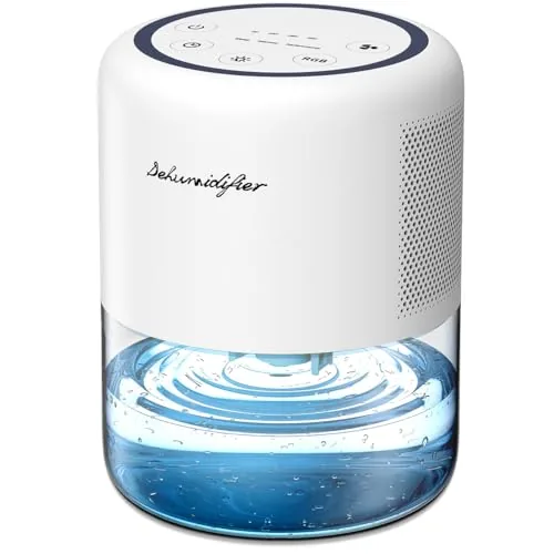 The Best Dehumidifier for Cameras and Lens Storage