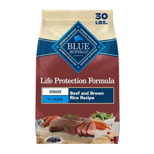 The Best Senior Dog Food for Joint Health and Vitality