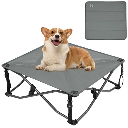 The Best Raised Folding Dog Bed for Every Pup