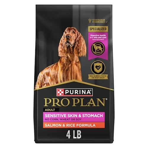 The Best Salmon Dog Food for Allergies in Big Bags