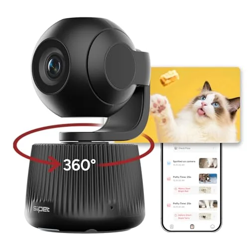 The Best Multi Pet Camera for Peace of Mind