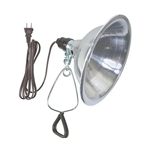 The Best Lights Lamp for Every Need in 2026