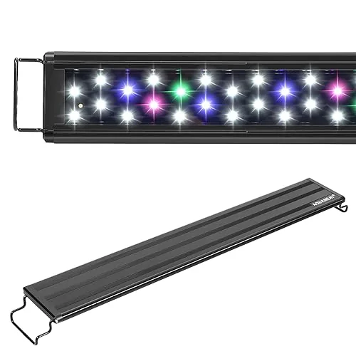 The Best Aquarium Light for Every Tank