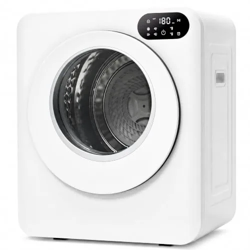 The Best 120 Volt Clothes Dryer in 2026