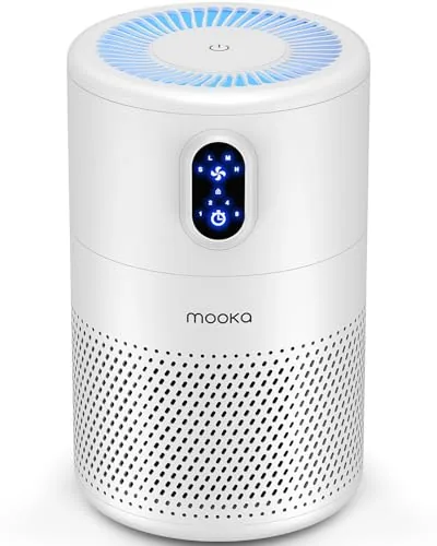 The Best Indoor Air Purifier for Cleaner Air at Home