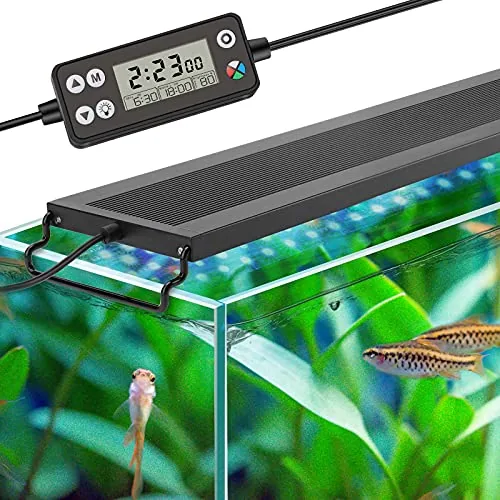 The Best Aquarium for Multiple Monitors