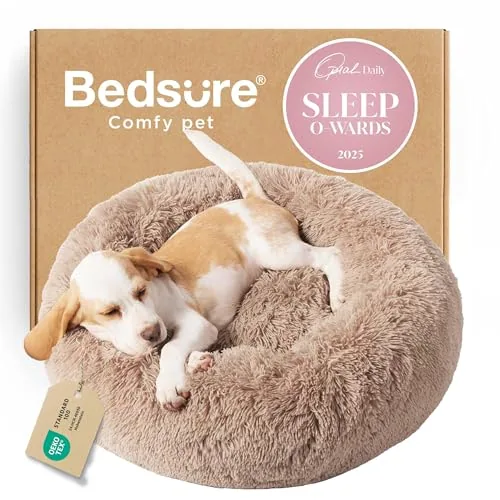 The Best Dog Bed Ever for Comfort and Support