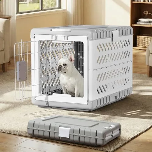 The Best Travel Dog Crate for Every Trip