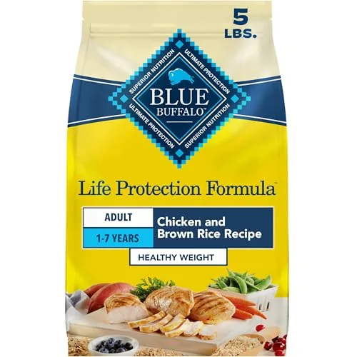 The Best Dog Food for Overweight Dogs in 2026