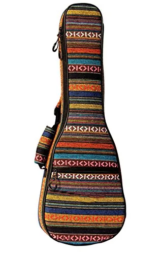 The Best Gig Bag for Ukulele