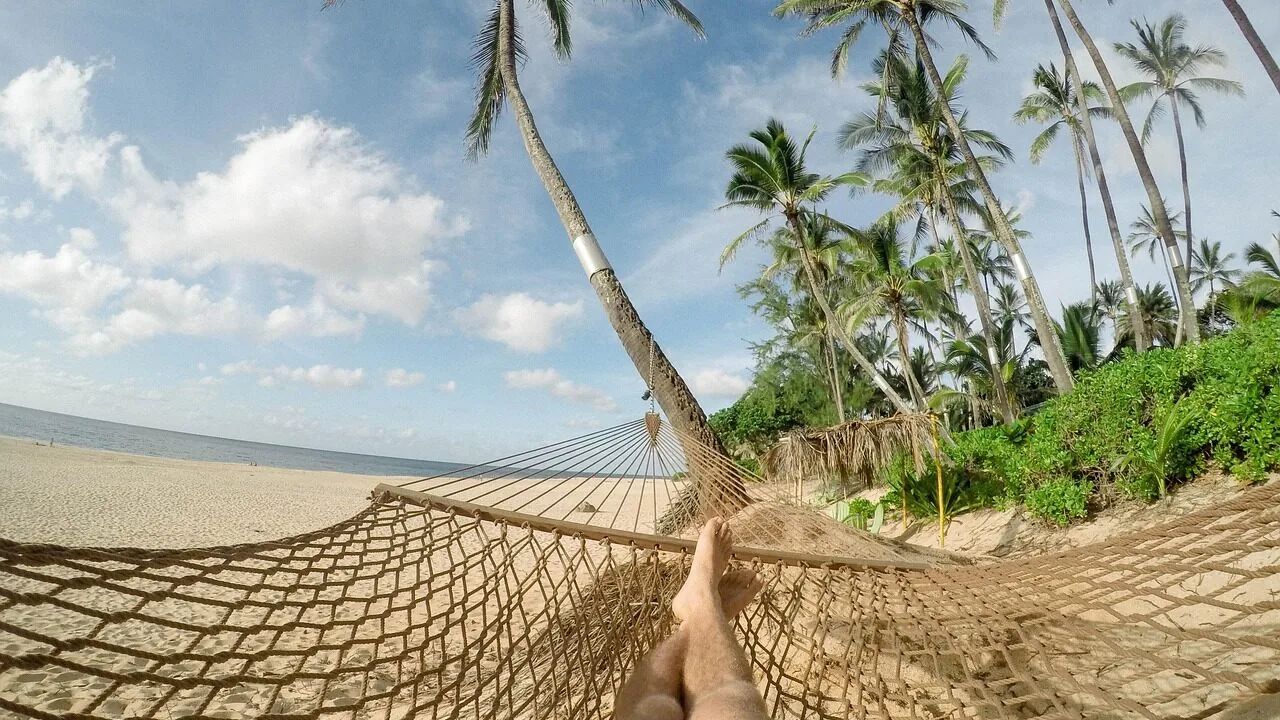 Hammock strung between two trees in outdoor setting with natural lighting